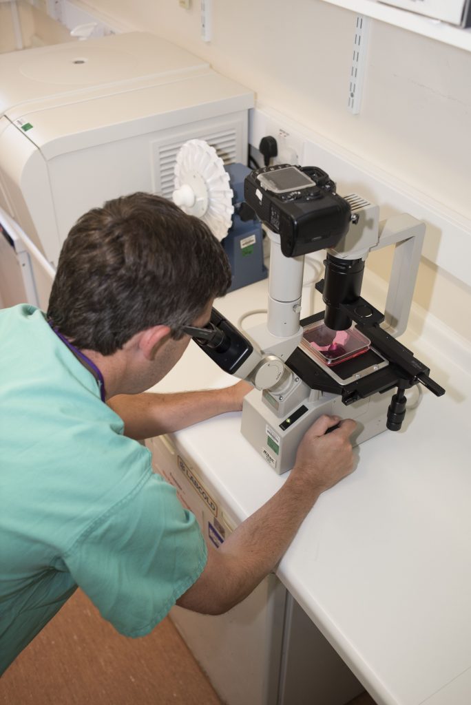 Simon Booth microscope - Queen Victoria Hospital