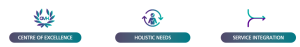 3 key areas of focus for the QVH strategy - centre of excellence, holistic needs, and service integration